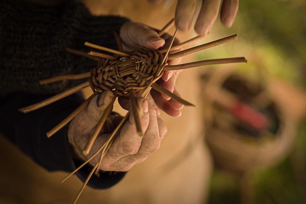 Willow Basket Weaving